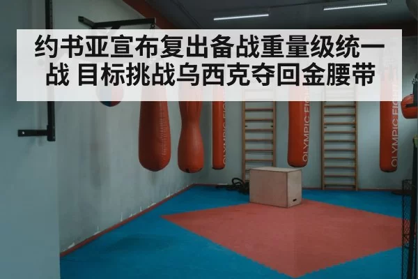 约书亚宣布复出备战重量级统一战 目标挑战乌西克夺回金腰带