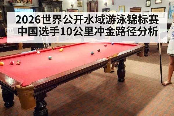 2026世界公开水域游泳锦标赛中国选手10公里冲金路径分析